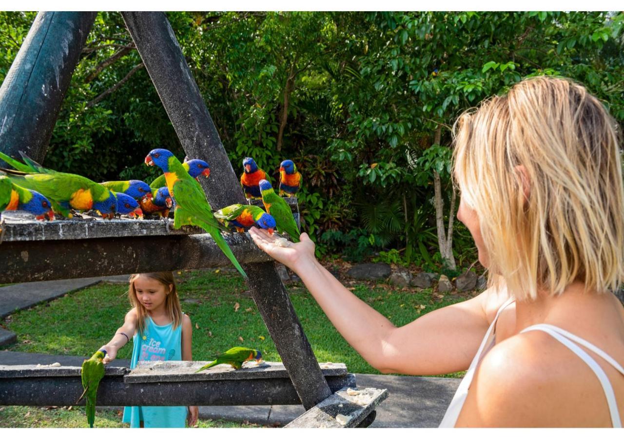 Discovery Parks - Airlie Beach Zewnętrze zdjęcie