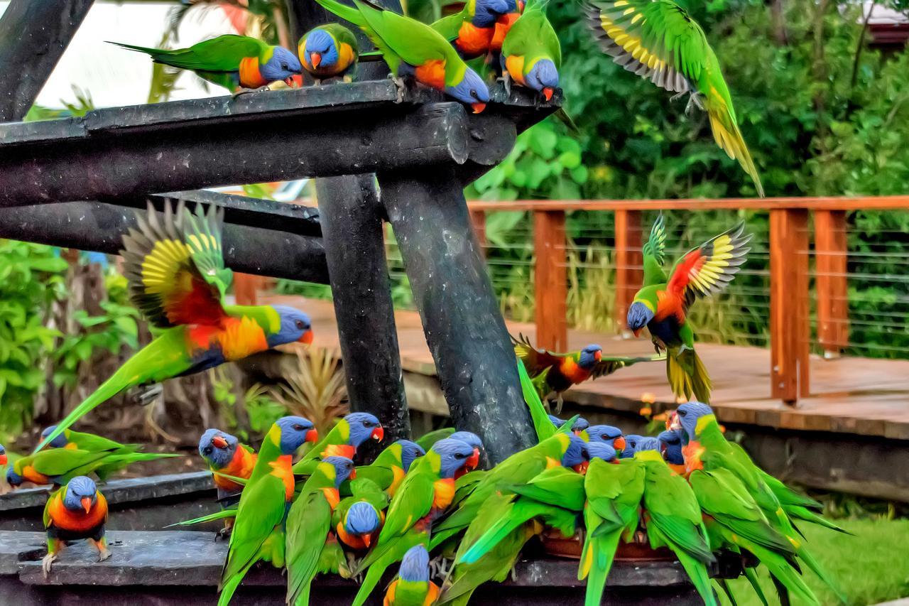 Discovery Parks - Airlie Beach Zewnętrze zdjęcie